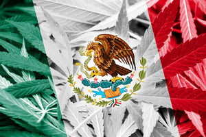 Mexico Aims to Legalize Cannabis-Based Edibles, Medicines, and Cosmetics in 2018